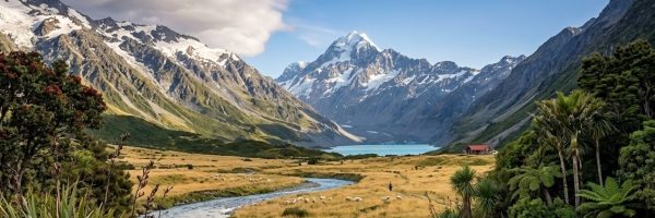 svc-area-newzealand